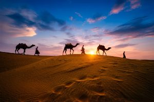 The Royal Quadrants of Rajasthan
