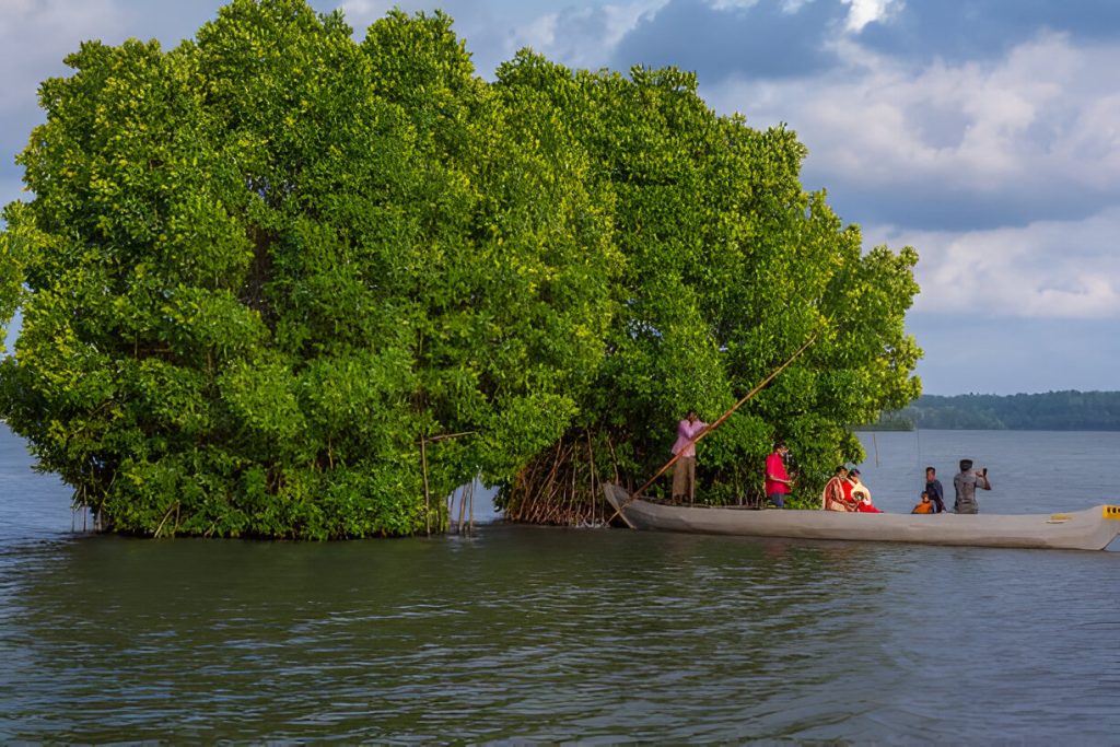 Hidden Treasure of Kerala - Munroe Island