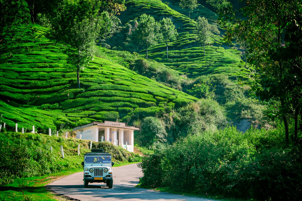 Off-Roading to Yedakumeri: A Thrilling Adventure Through the Western Ghats