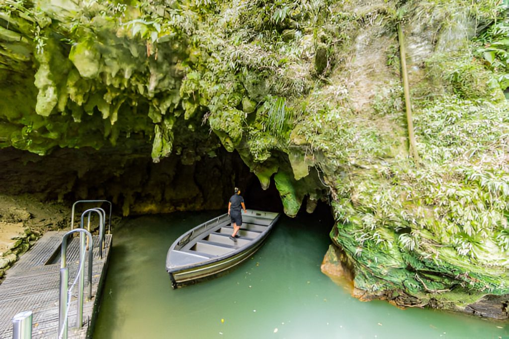Explore the Enchanting Waitomo Caves in New Zealand