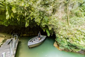 Explore the Enchanting Waitomo Caves in New Zealand