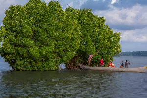 Hidden Treasure of Kerala - Munroe Island