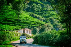 Off-Roading to Yedakumeri: A Thrilling Adventure Through the Western Ghats