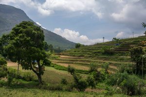 Exploring Idukki